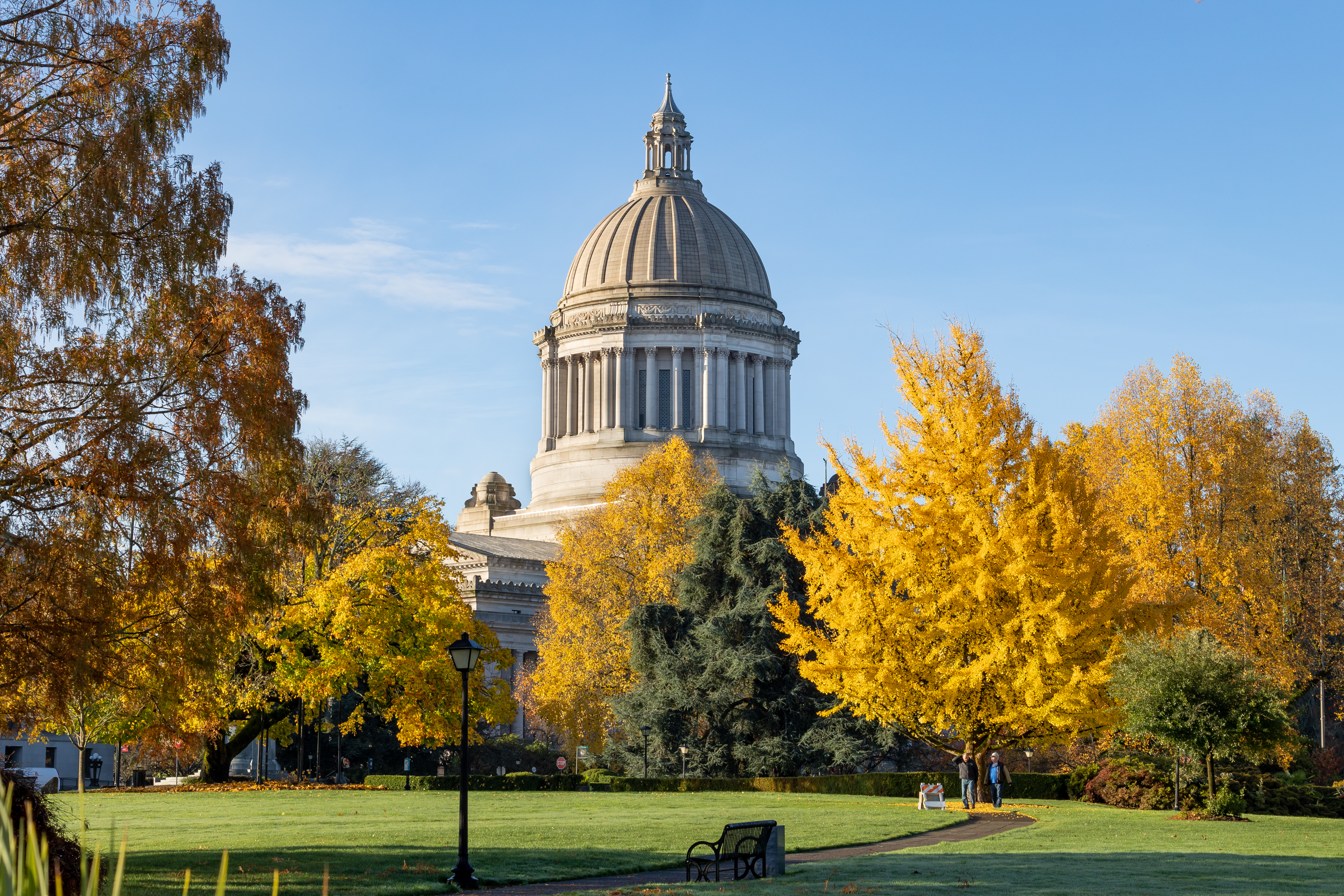 A nature scene with a stone pathway leading through a green lawn surrounded by trees of various shapes, sizes, and colors that from the Legislative Building dome in the background.