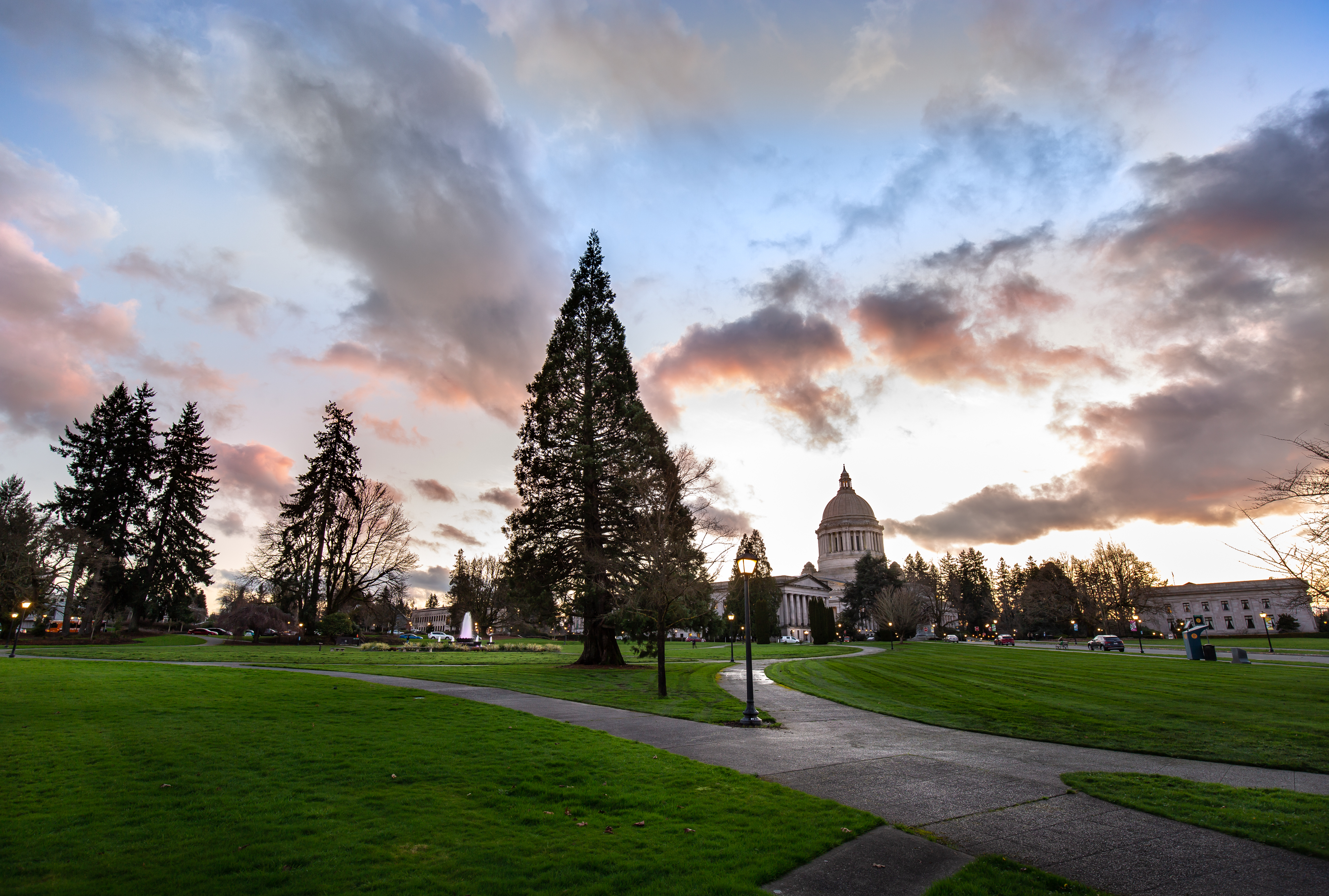 Stone pathways leading through a green lawn with various trees planted throughout. A blue and pink sky and the Legislative Building are in the background.