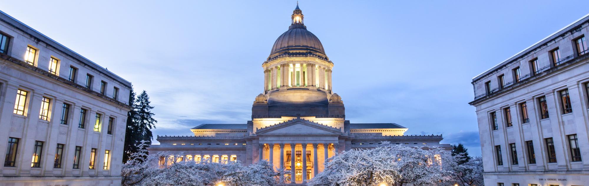 An outdoor scene with blooming Cherry Blossom trees lining a stone pathway that leads up to the Legislative Building, which is lit up with warm lights during a spring evening.