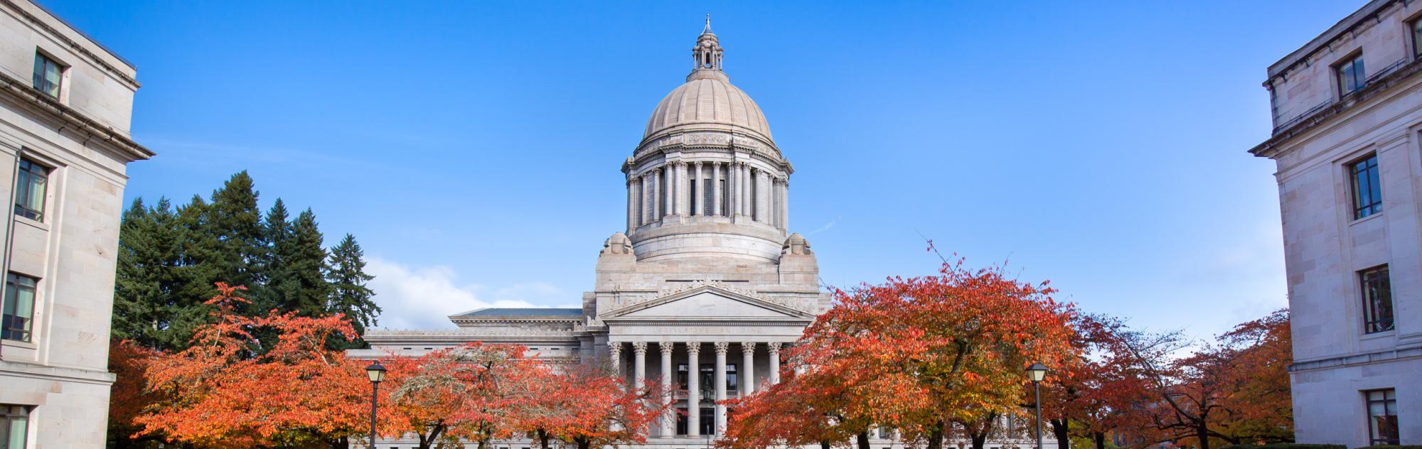 A wide shot of the Legislative Building and Yoshino cherry trees in the fall. The trees have bright reddish orange leaves. 