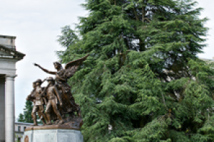 Atlas Cedar tree with the Winged Victory Monument in the foreground