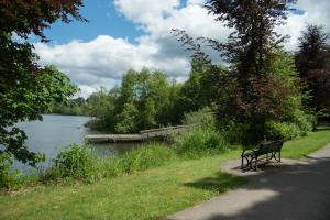A nature scene with a metal park bench set off a sidewalk that overlooks Capitol Lake and a wooden dock in the distance.