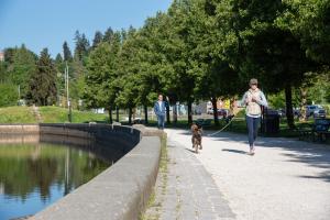A nature scene with a woman and her dog jogging on a gravel pathway lined with trees and a man taking a selfie with Capitol Lake in the background.