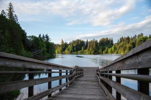 A nature scene with a wooden dock overlooking Capitol Lake, a dense tree line, and the Legislative Building dome peaking from the top of the trees.