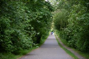 A nature scene with people walking their dogs on a cement pathway with dense, green bushes and trees on both sides.