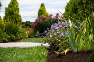 Beautiful pink flowers planted in a mulch flower bed within the Sunken Garden next to a metal park bench, with large trees, the Insurance Building, and the Legislative Building in the background.