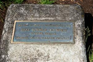 A bronze plaque reading "This tree planted in commemoration of the 2004 Summer Olympics / Athens, Greece / Global Olive Wreath Project."