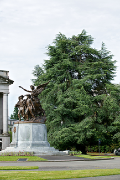 Atlas Cedar tree with the Winged Victory Monument in the foreground