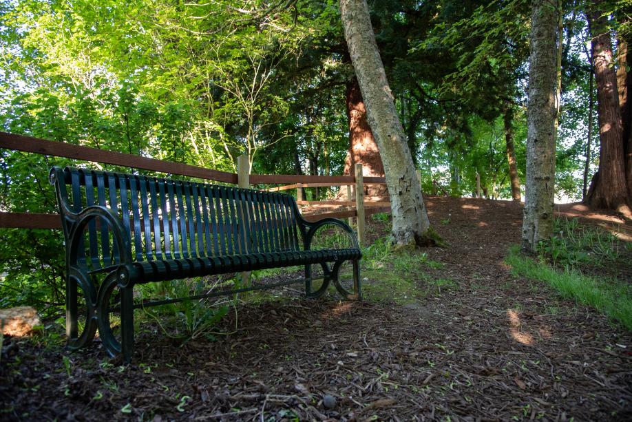 A nature scene with a metal park bench set off a mulch pathway with wooden railings and green, leafy trees in the background.