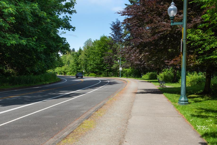 A winding pathway along Deschutes Parkway lined with various trees, streetlights, and metal park benches. 