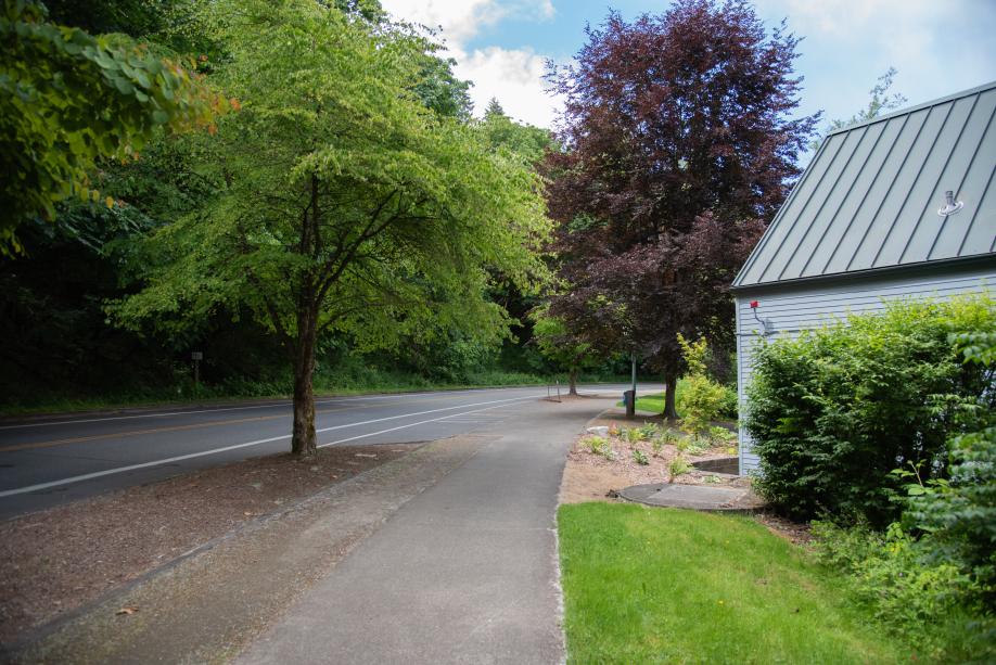 An outdoor scene with a sidewalk along Deschutes Parkway shaded by various trees and a small building off to the right.