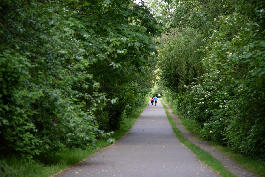 A nature scene with people walking their dogs on a cement pathway with dense, green bushes and trees on both sides.