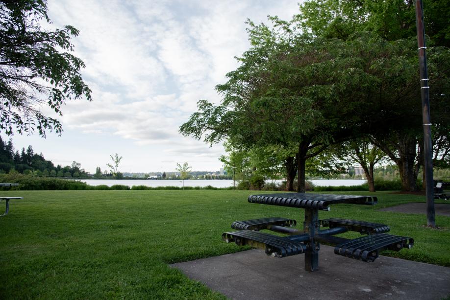 A nature scene with a metal picnic table in the foreground set off a green lawn lined with trees and a small glimpse of Capitol Lake and downtown Olympia in the distance.