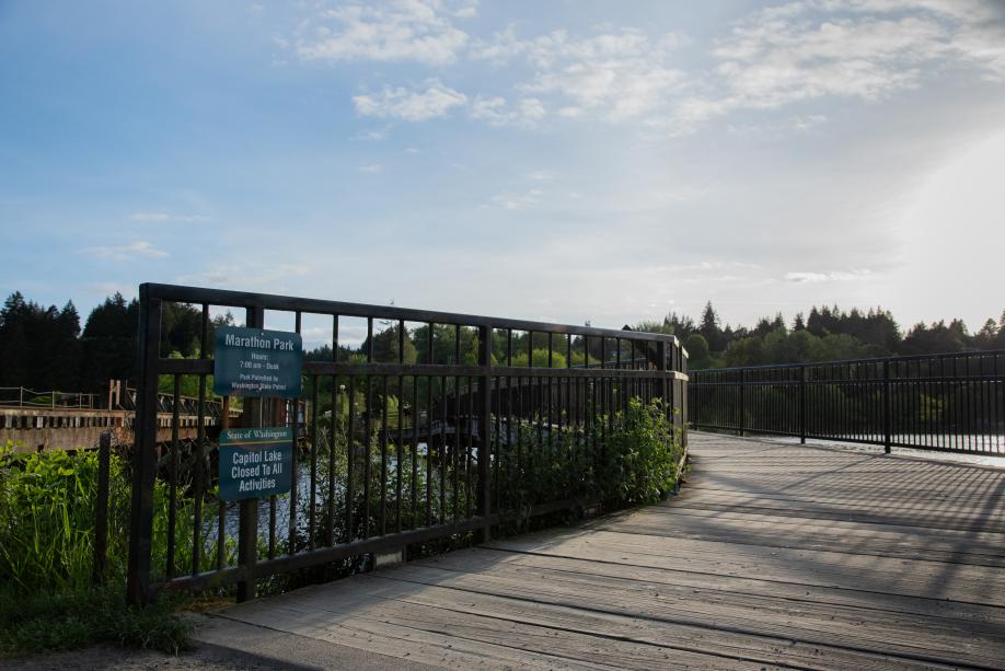 A nature scene featuring a wooden bridge and a sign that says "Marathon Park," with trees and a blue sky in the background.