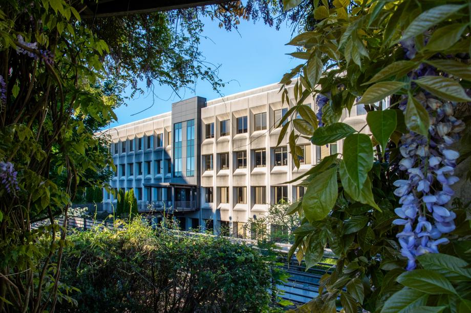 A plant with long twisting vines, large green leaves, and purple flowers in the foreground frames a view of the west side of Office Building 2 in the background.