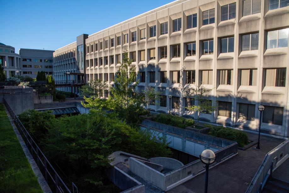 A view of Office Building 2's west courtyard from above. The courtyard is beneath the ground level and has two large trees that stand tall above the ground level.