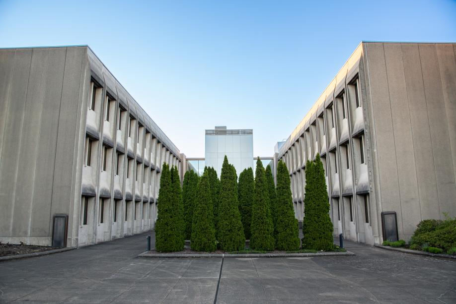 A wide shot of the south end of concrete courtyard that splits the Department of Transportation building in half. Multiple rows of small evergreen trees sit between the two halves of the building, with a glass skybridge connecting the two halves of the building in the background.