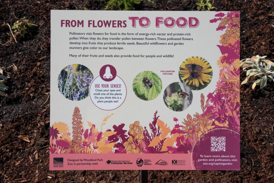 A pink and white sign with the text "From Flowers to Food" at the top. The sign has pictures of flowers and pollinator insects, a callout to "use your senses," and a QR code.