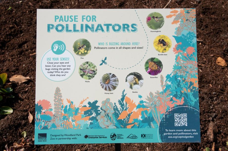 A teal, orange, and white sign that says "Pause for pollinators" at the top. The sign also includes photos of pollinators, a callout to "use your senses," and a QR code.
