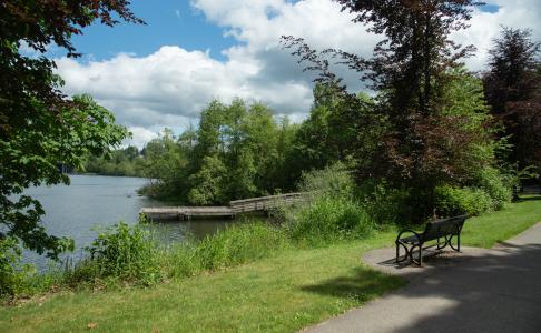 A nature scene with a metal park bench set off a sidewalk that overlooks Capitol Lake and a wooden dock in the distance.