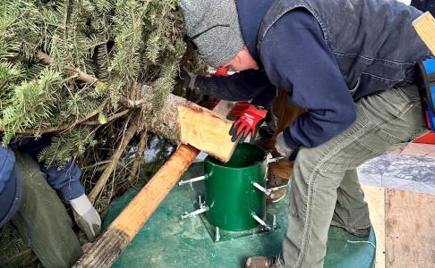 A crew of three or four people fitting the trunk of a fir tree into a green metal stand inside the Legislative Building rotunda.