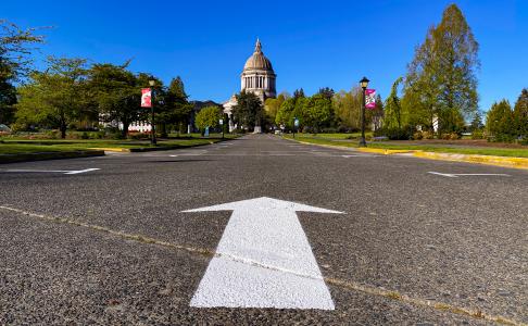 A close up of a white arrow painted on a road that points to the Legislative Building in the distance. A deep blue sky is in the background and various green trees line both sides of the road.