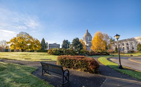 The diverse tree landscape of West Campus, which includes trees of yellow, red, and green. The Legislative building sits behind trees, and a lamp post, a bench, and stone pathways are in the foreground.