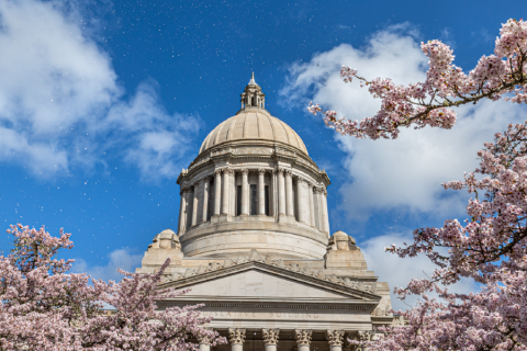 A view of the south side of the Legislative Building with blooming Cherry trees in the foreground.