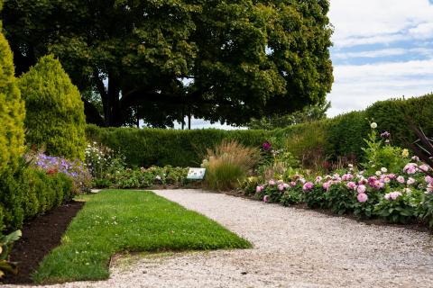 A beautiful garden featuring a gravel path surrounded by vibrant trees and flowers, with the Legislative Building in the background.