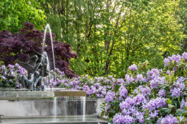 The DuPen Fountain with blooming purple flowers around its border.