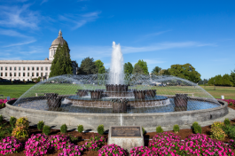 The Tivoli Fountain shooting water into the sky, and out to the sides from the center in many different streams, with blooming flowers and a beautiful blue sky background.