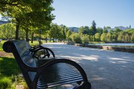 A nature scene with a metal park bench in the foreground set off of a gravel pathway lined with trees, and a glimpse of Capitol Lake in the background.