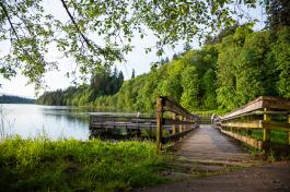 A nature scene that features two people standing on a wooden dock overlooking Capitol Lake, which is lined by lush green trees.