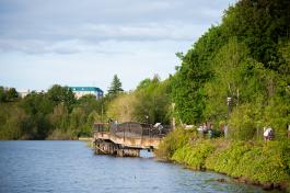 A wide shot of people walking on a wooden bridge that connects Marathon Park to Heritage Park with Capitol Lake and trees in the view.