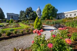 The Sunken Garden path surrounded by vibrant trees and flowers, with the Legislative Building in the background.