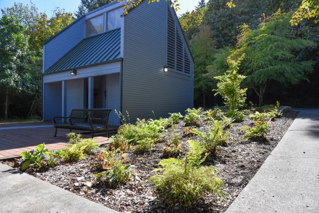 An outdoor scene highlighting the new, short plants at the entrance of the Capitol Lake Interpretive Center.