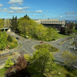 A look over the roundabout where Jefferson Street and 14th Avenue Southeast intersect. Multiple cars are on the road, which is lined with large green trees.