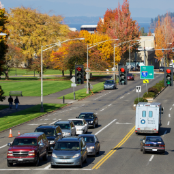 A look at Capitol Way viewing Northward between Sid Snyder Ave. SW/14th Ave. SE and 11th Ave. SW.