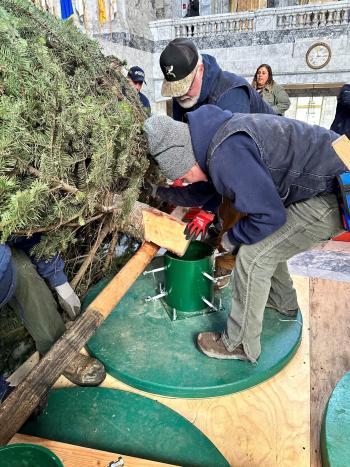 A crew of three or four people fitting the trunk of a fir tree into a green metal stand inside the Legislative Building rotunda.