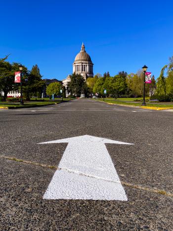 A close up of a white arrow painted on a road that points to the Legislative Building in the distance. A deep blue sky is in the background and various green trees line both sides of the road.