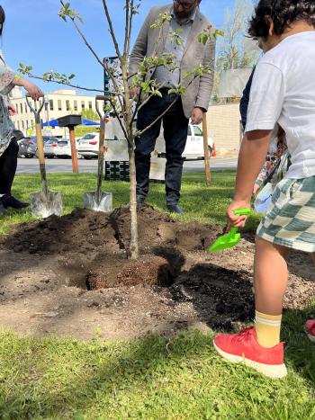 Several young children, one holding a green plastic shovel, help two adults with real shovels fill dirt around the base of a newly planted tree.