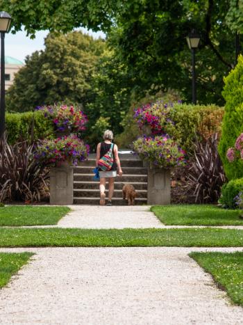 Person walking up the steps of the Sunken Garden with their pet.​