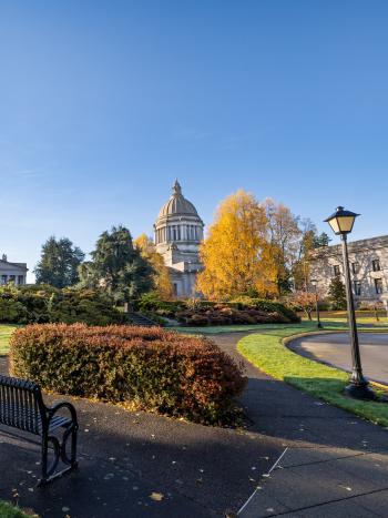 The diverse tree landscape of West Campus, which includes trees of yellow, red, and green. The Legislative building sits behind trees, and a lamp post, a bench, and stone pathways are in the foreground.
