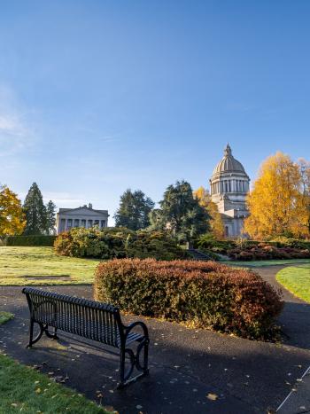 A fall view of the Capitol Campus with golden leaves on the trees and the Legislative Building in the background.