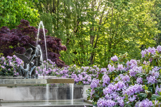 The DuPen Fountain with blooming purple flowers around its border.