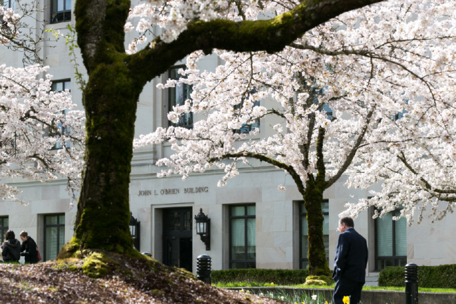 John O'Brien Building with blooming Cherry trees in the foreground